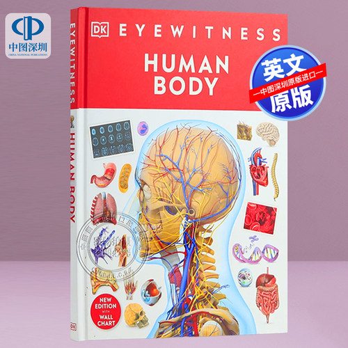 人体HumanBodyDK正版书