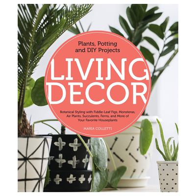 生活装饰植物，盆栽和DIY项目