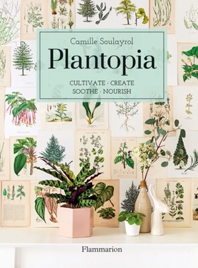 现货种植天堂:培育/创造/抚慰/滋养英文原版 Plantopia : Cultivate/Create/Soothe/Nourish  室内设计 园艺 插花 艺术