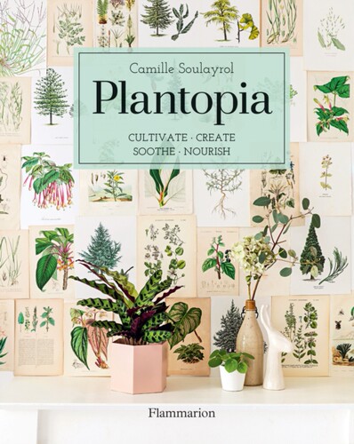 现货种植天堂:培育/创造/抚慰/滋养英文原版 Plantopia : Cultivate/Create/Soothe/Nourish  室内设计 园艺 插花 艺术