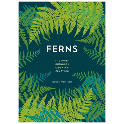 蕨类室内-户外-生长-制作