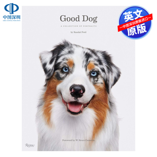 使命作者前言 Collection Dog Ford 一条狗 英文原版 Randal Good 进口正版 乖狗狗摄影 好狗狗 Portraits 书籍