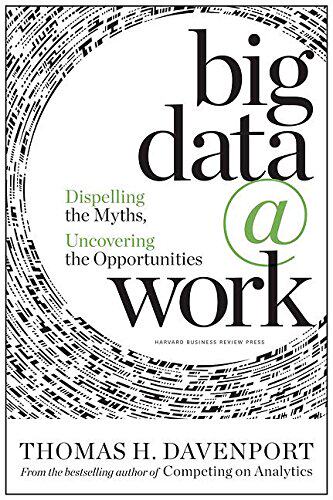 英文原版 大数据时代:辟谣,发现机遇 精装插图版 Big Data at Work 企业管理 自我提升 经济