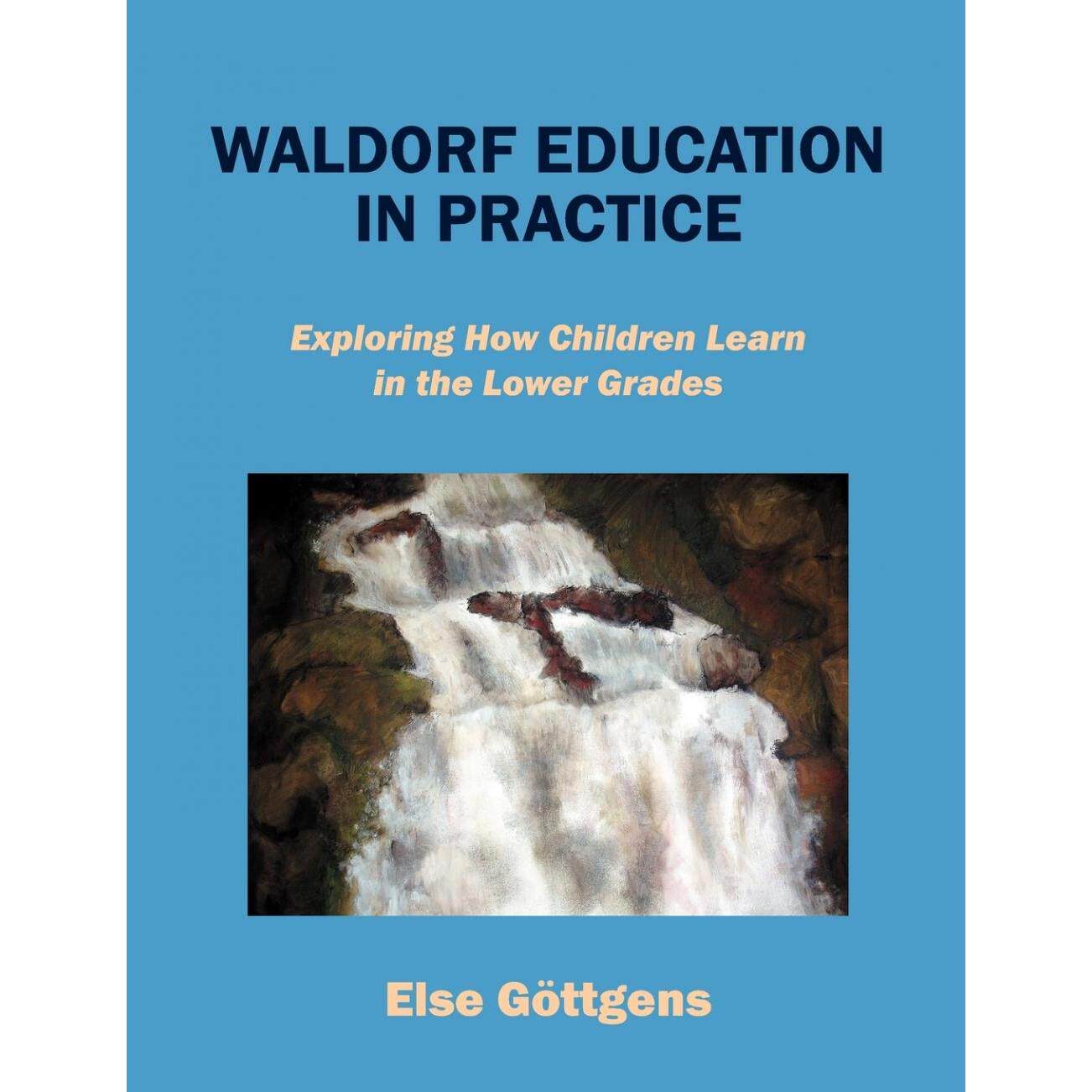 【预售 按需印刷】英文原版 华德福教育实践 Waldorf Education in Practice 进口原版正版书籍