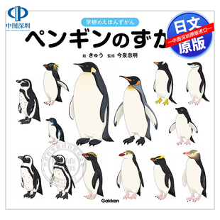 现货 书 进口 きゅう／絵 ずか 正版 Ｇａｋｋｅｎ ペンギン 百科 日本原装 今泉忠明／監修 深图日文 企鹅图鉴