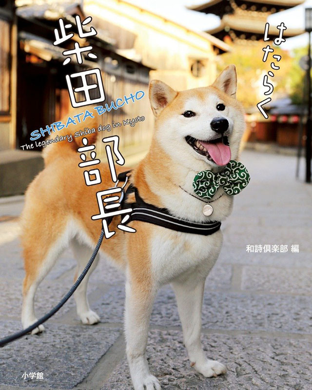 书写真集