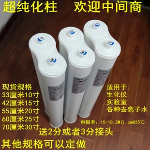 医院超纯化柱18兆生化仪纯水柱机双联去离子滤芯抛光树脂预处理