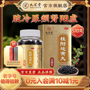 九芝堂桂附地黄丸正品520丸温补肾阳尿频尿急手脚冰凉腰酸旗舰店
