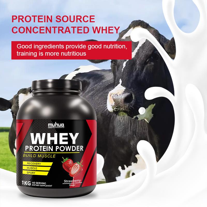 跨境乳清蛋白粉 whey protein powder草莓味2lbs 1kg样品