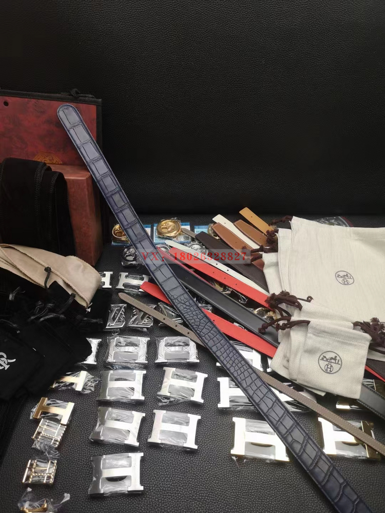 史蒂芬劳.尼治鹰头男士尼罗鳄鳄鱼皮皮带高端奢侈品真皮无头腰带