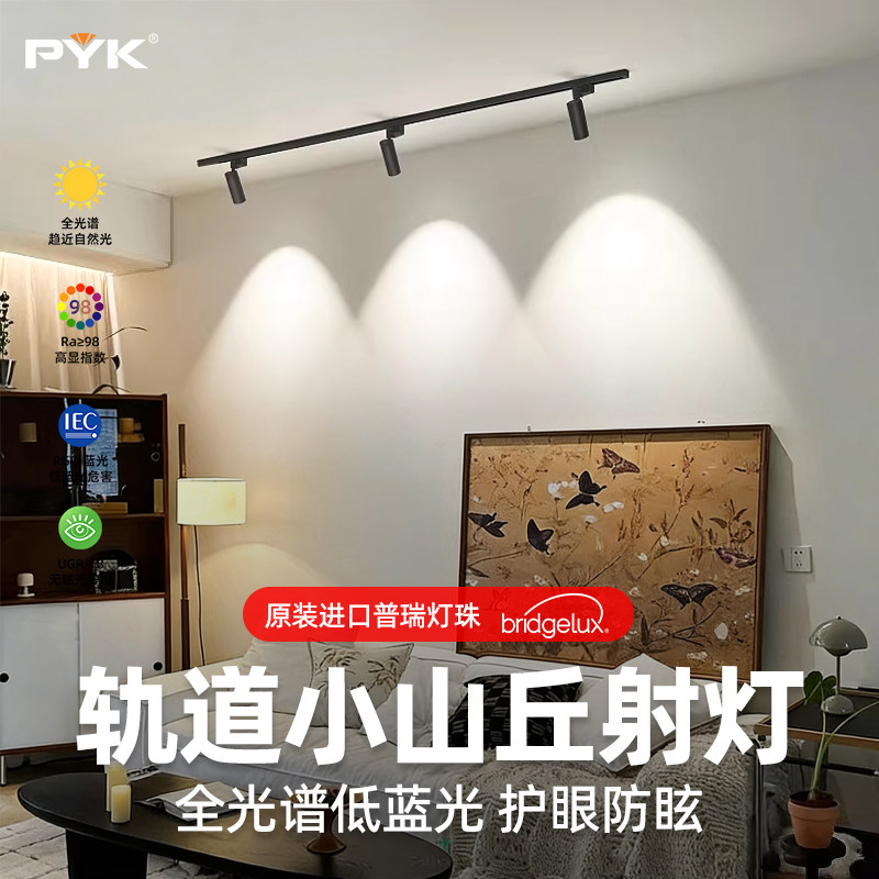 PYK黑色明装中古风客厅轨道射灯