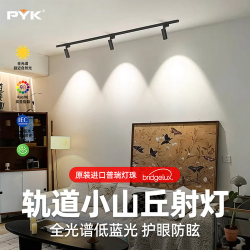 PYK黑色明装中古风客厅轨道射灯