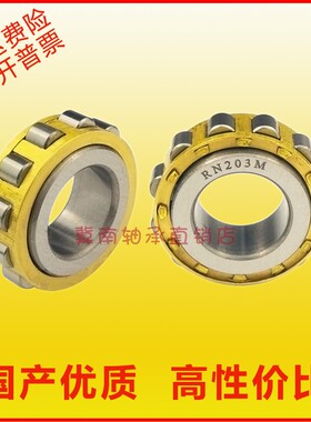 圆柱滚子偏心轴承天马正rn205 206 307 308 309 310 311 312 313m