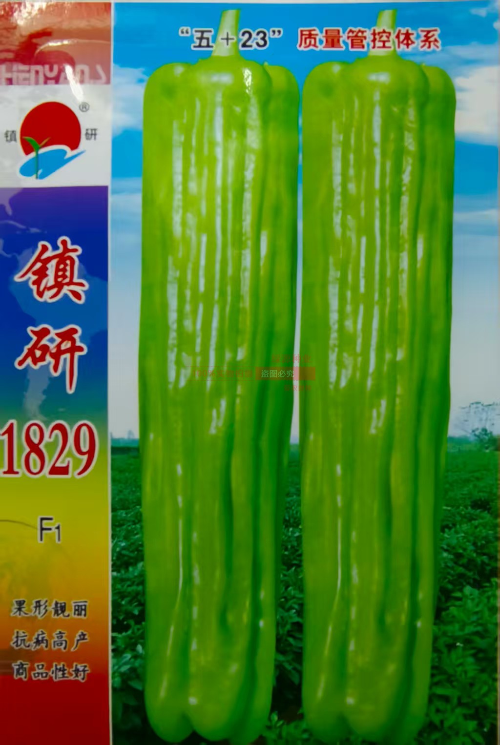 农家大田春秋季播种蔬菜辣椒种子