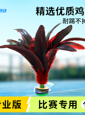 毽子儿童小学生运动专用成人大鸡毛耐踢腱子羽毛毽球比赛跃动键子