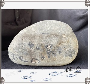 天然奇石石头园林长江石画面石象形石鱼缸水底造景园艺摆件汉江