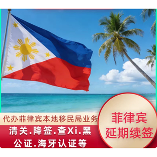 菲律宾查黑名单 出入境 清关签证状态