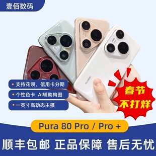 pro个性 Pro一英寸高动态主摄Pura 色卡AI辅助构图鸿蒙 Pura