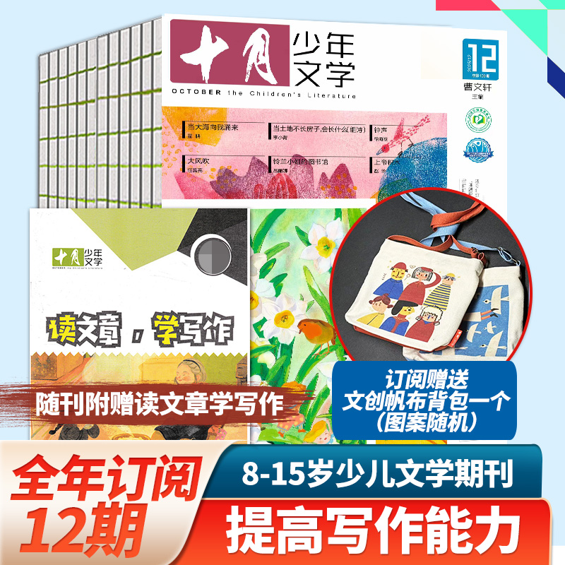 儿童文学书文摘书籍十月少年