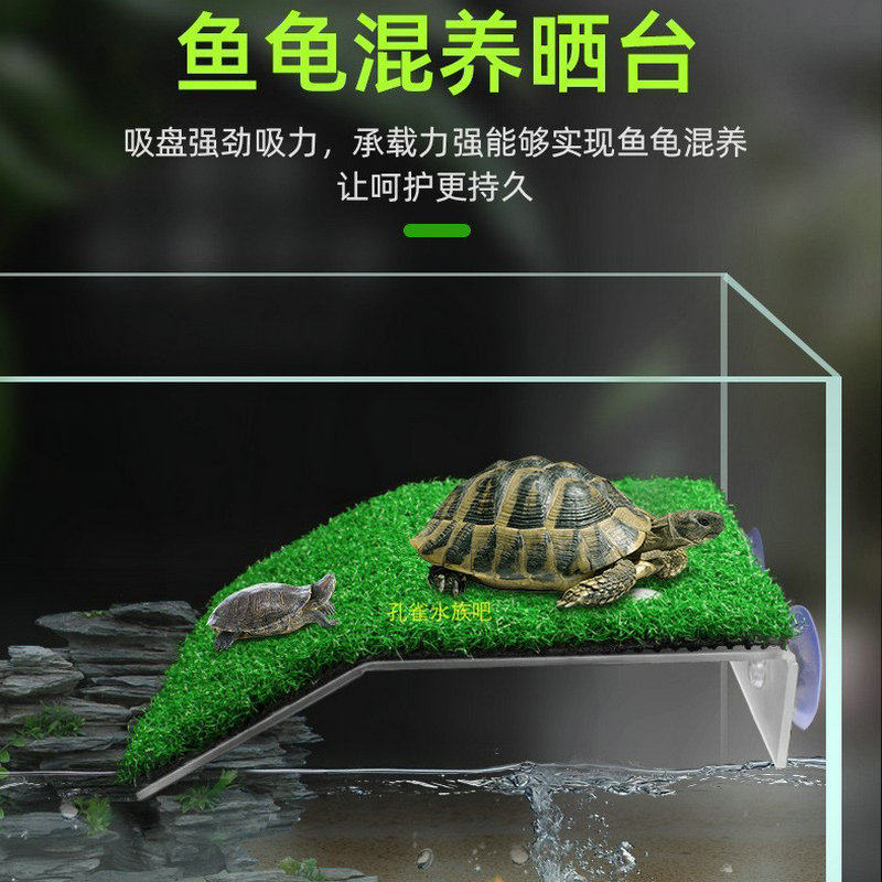 仿真水草诺摩晒台宠物龟晒背台龟岛水龟爬梯爬坡吸盘浮岛桥形乌龟,宠物/宠物食品及用品,造景/装饰,淘宝优惠券,粉丝福利购,淘宝优惠卷