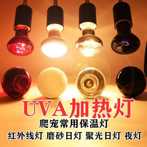 晒背灯红外线灯夜灯爬虫灯太阳灯