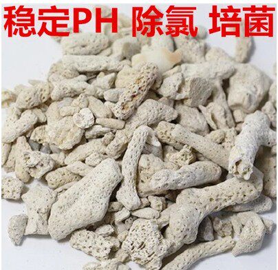 菲律宾进口珊瑚骨提高过滤材料