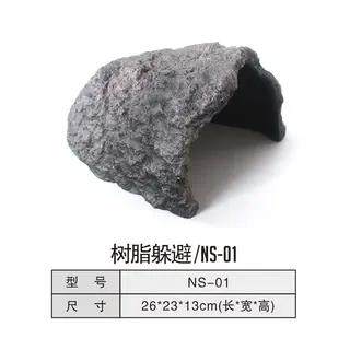 nomo造景水龟陆龟蜥蜴守宫