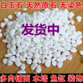 小白石子白玉石雨花石鹅卵石园艺盆栽石头多肉铺面石鱼缸造景铺院