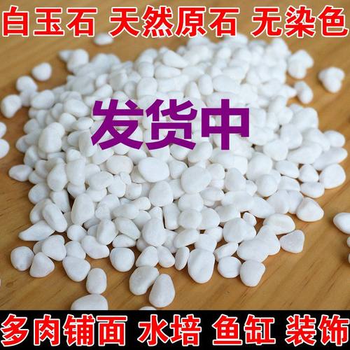 小白石子白玉石雨花石鹅卵石园艺盆栽石头多肉铺面石鱼缸造景铺院 - 封面