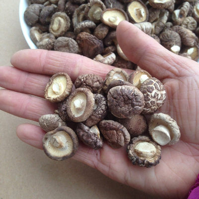 23小香菇干货农产品新货精选肉厚无根冬菇蘑菇500g包邮河南特产