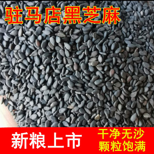 25年精选黑芝麻生河南特产新货驻马店天然干净无沙农产品可榨油