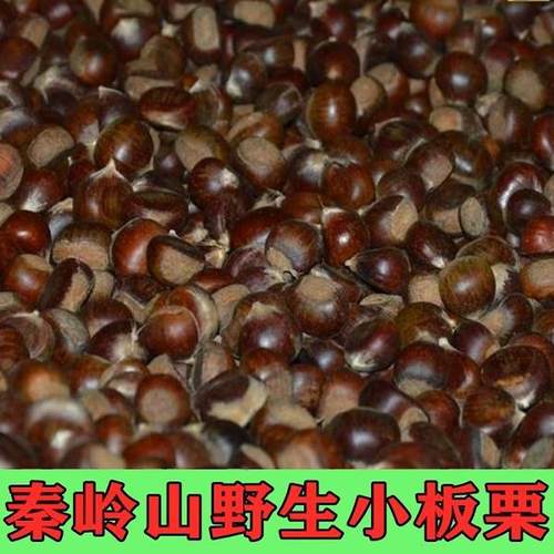 秦岭野生板栗新鲜陕西即食票子