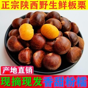 野生板栗秦岭陕南新鲜野油板栗毛栗仁板票子非迁西板栗野生毛栗子
