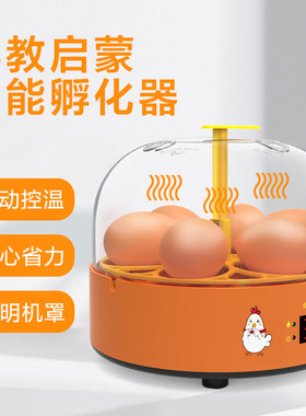 小型全自动孵蛋器家用智能孵化器