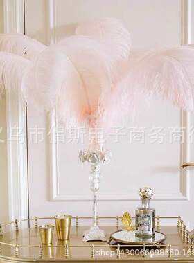 厂家50-55厘米鸵鸟毛diy羽毛婚庆装饰家居摆设鸵鸟羽毛台灯
