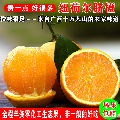 德保水分足纯甜橙味浓郁