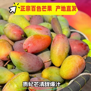 广西百色小贵妃芒田阳树熟芒果热带现摘新鲜水果整箱包邮产地直发