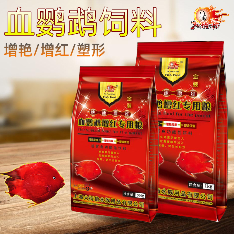 大拇指罗汉增艳发财正品血鹦鹉