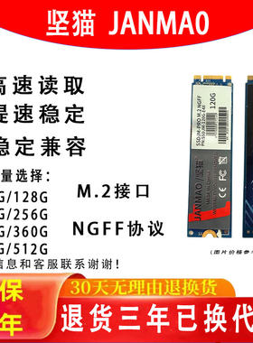 坚猫NGFF 120G128G 240G 256G512G1TBM.2台式电脑笔记本固态硬盘