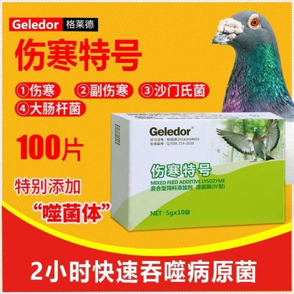 格莱德鸽药伤寒特号伤寒停沙门氏菌肠炎拉稀水绿便鸽子常用药大全