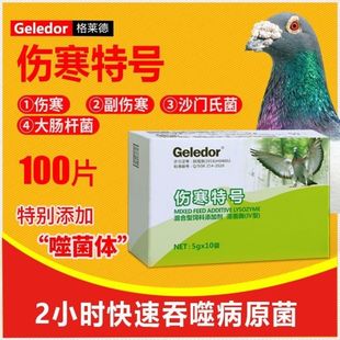 格莱德鸽药伤寒特号伤寒停沙门氏菌水绿便鸽子常用保健营养品大全