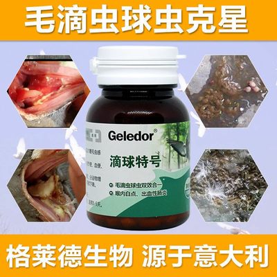 格莱德鸽药滴球特号毛滴虫球虫二合一信鸽口腔粘液痰丝水便鸽子药