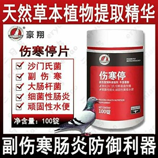 豪翔鸽药伤寒停片信鸽用品赛鸽肠道副伤寒沙门氏大肠杆菌鸽子药