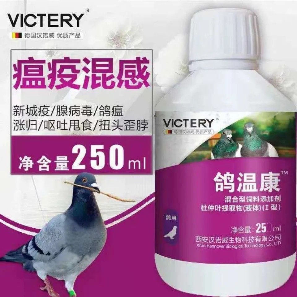 汉诺威鸽温康 鸽子药新城疫腺病毒嗉囊炎呕吐甩食信赛鸽鸽瘟康
