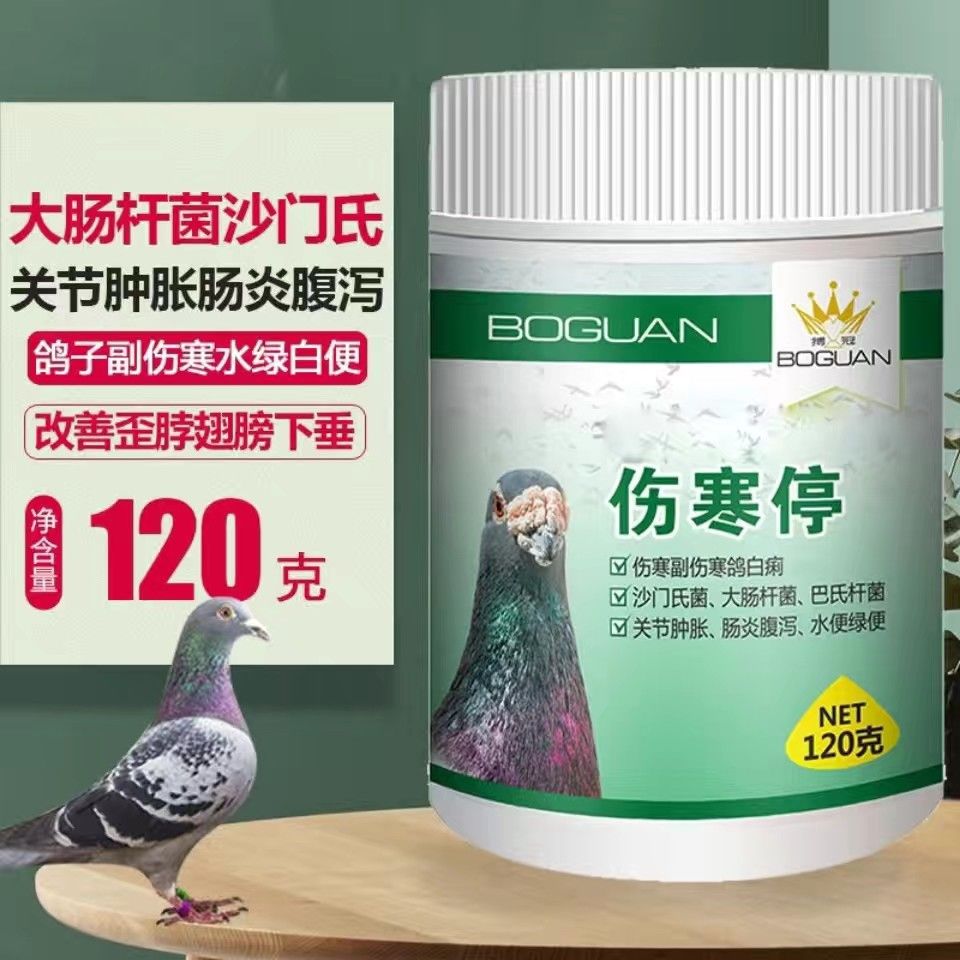 搏冠鸽药【伤寒停】粉剂120克/赛信鸽子用品肠道沙门氏博冠副伤寒