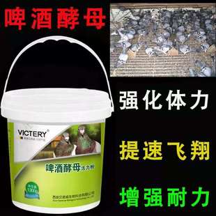 汉诺威鸽药啤酒酵母 活力粉 赛鸽信鸽用活菌保健品水绿便调理鸽子