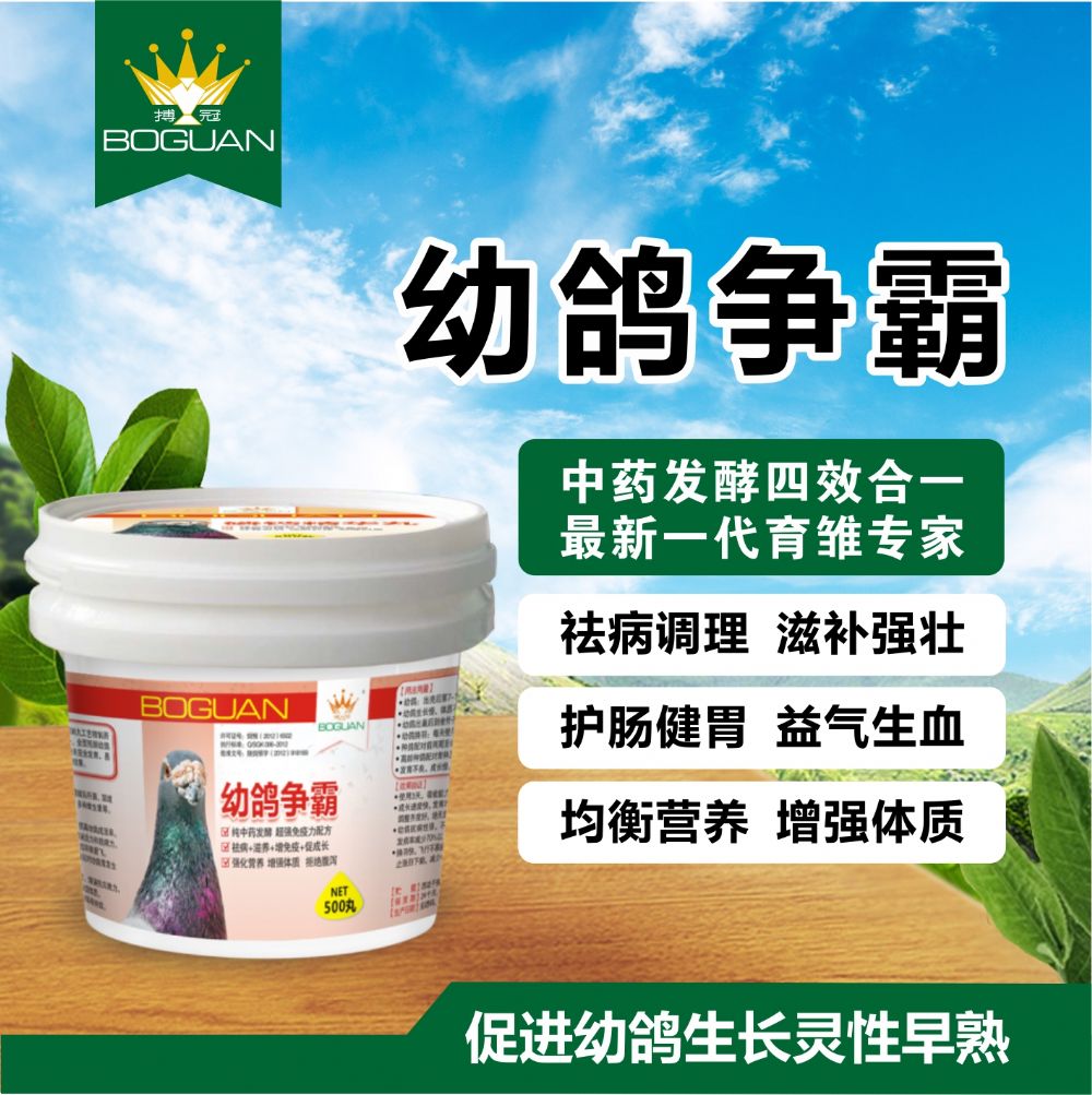 搏冠鸽药幼鸽争霸钙磷精华丸育雏宝钙磷速补丸幼鸽丸赛信鸽1瓶26