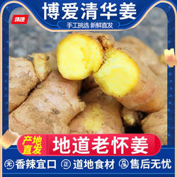 新鲜姜河南博爱老生姜清化怀姜3斤小黄姜农家姜嫩的生姜大姜仔姜