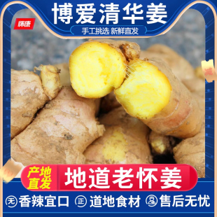 新鲜姜河南博爱老生姜清化怀姜3斤小黄姜农家姜嫩的生姜大姜仔姜