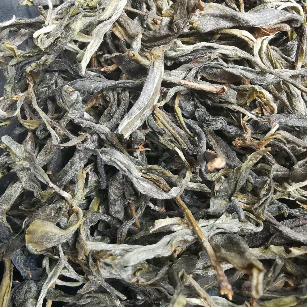 老乌山藤条古树春茶云南普洱生散茶高香醇厚200克品鉴装(包邮)